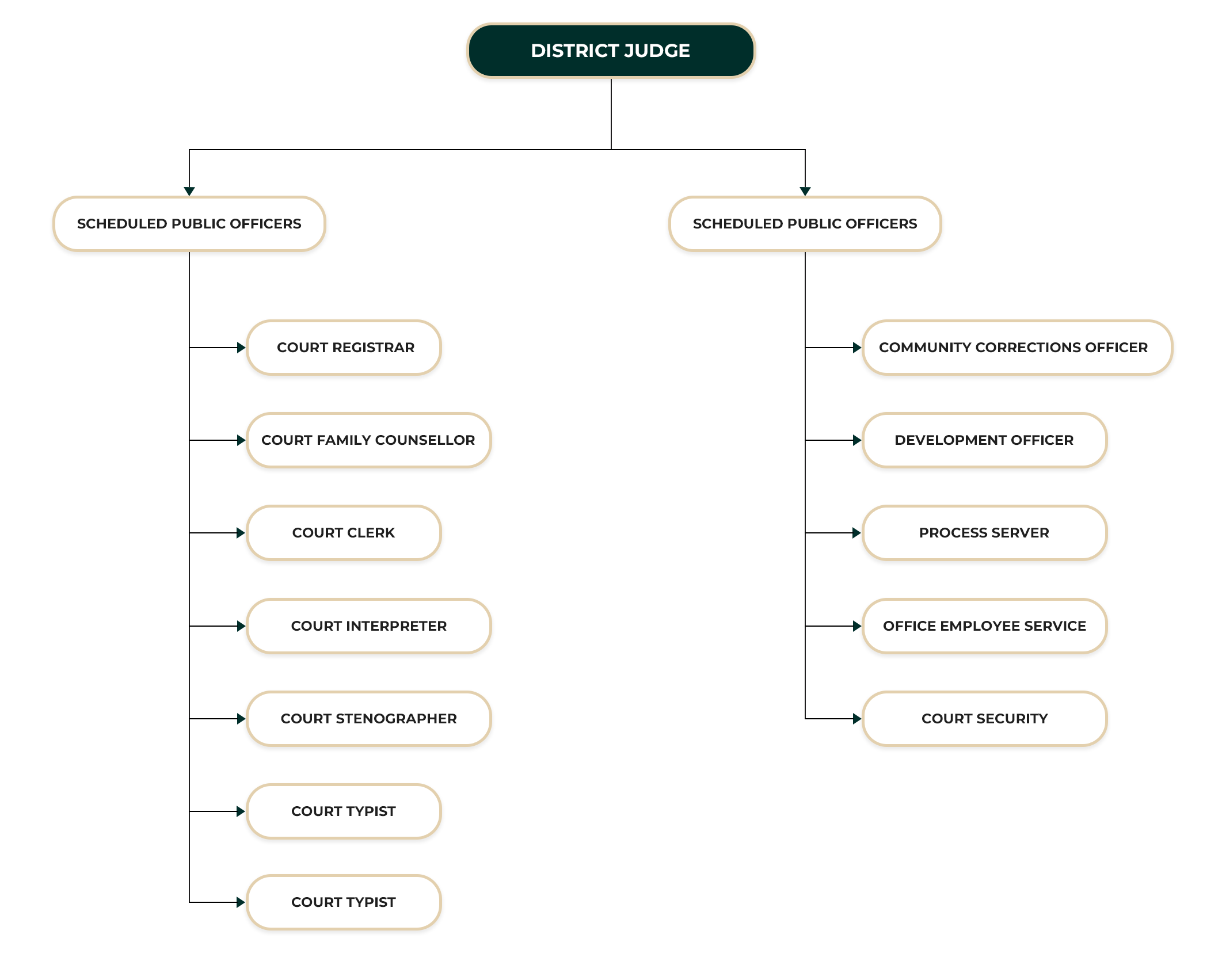 District Court Bibile ORGANIZATIONAL STRUCTURE
